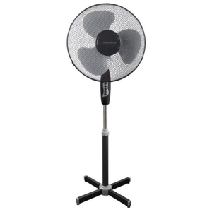 Fans