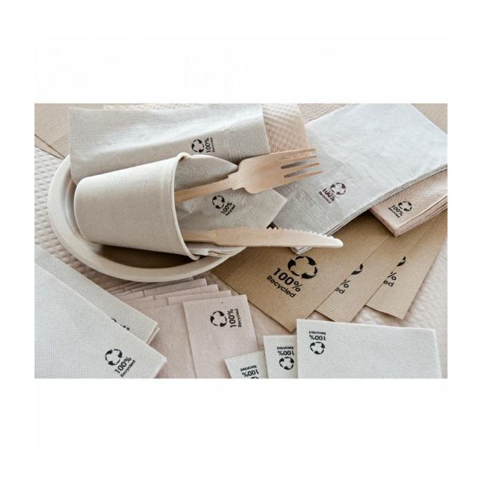 Napkins Feel Green 39x39 2 layers natural colour, compostable, 100 pcs.