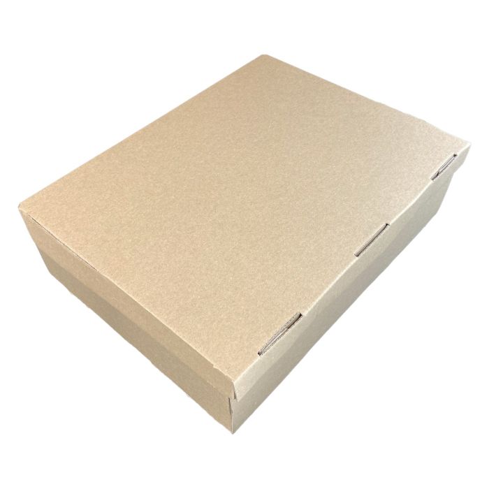 Catering carton for transport 35x26cm, 20pcs, 350x260x100mm, TnG