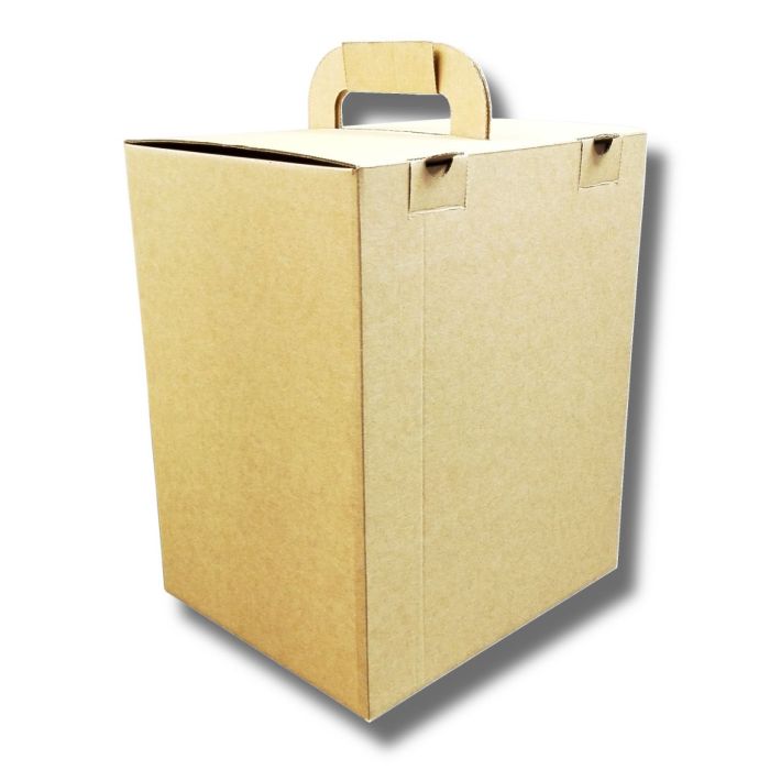 Box with flat folding handle DIETA BOX for lunch boxes, 190x230x285mm 50 pieces