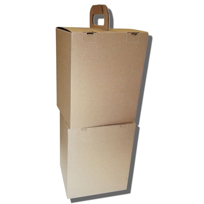 Box with flat folding handle DIETA BOX for lunch boxes, 190x230x285mm 50 pieces