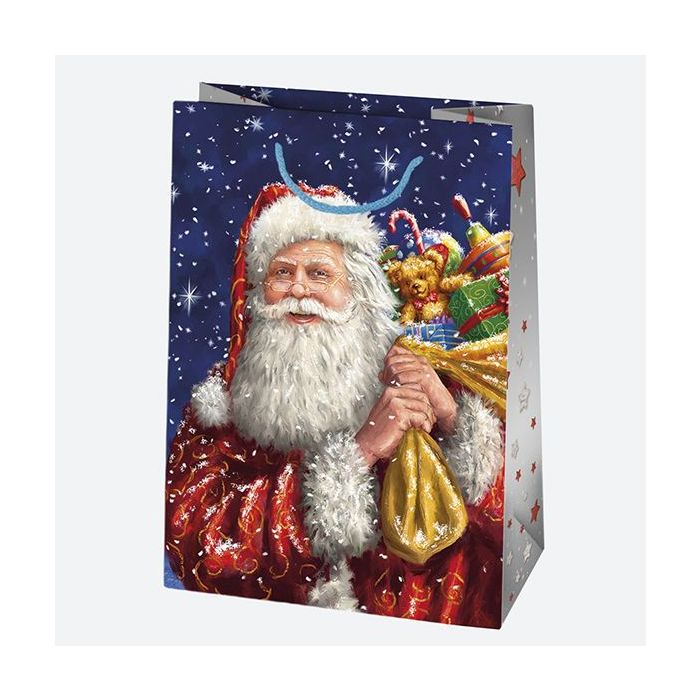 Decorative bags T5 set no. 58 Christmas 23/32cm, 10 pieces