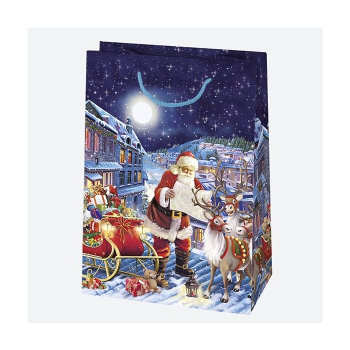 Decorative bags T5 set no. 58 Christmas 23/32cm, 10 pieces