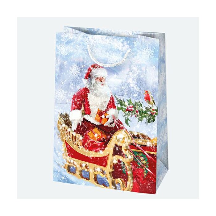 Decorative bags T9 STARS set of 40, 29/40cm, op. 10 pieces