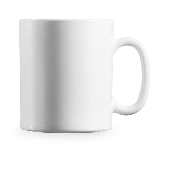 Evolution Mug [Set of 6]