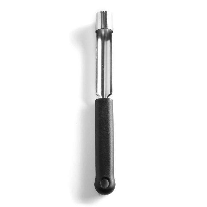 Apple hollowing device