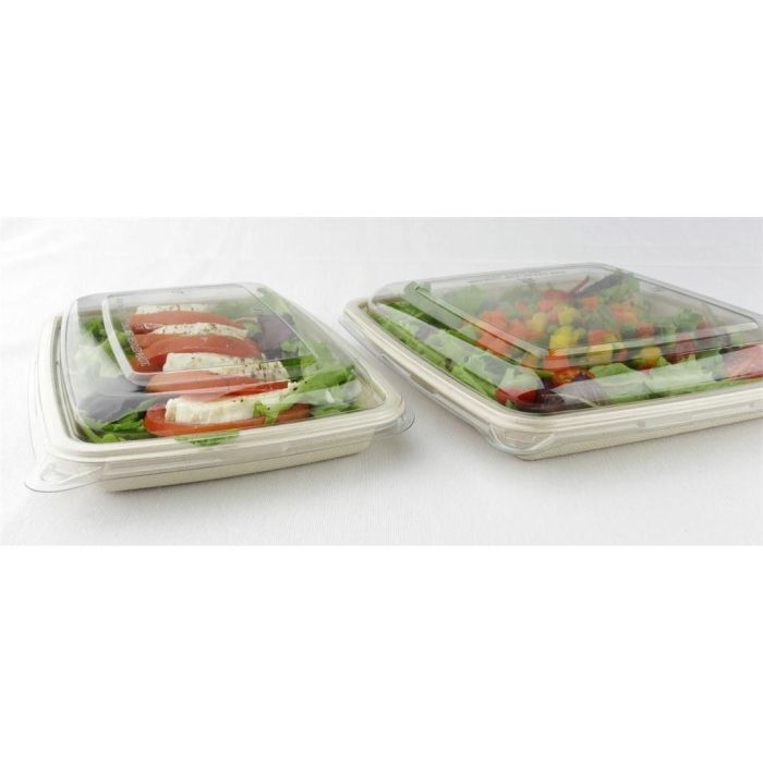 Container BePulp square 1000 ml, 23x23x3cm, vegetable pulp, 75 pieces
