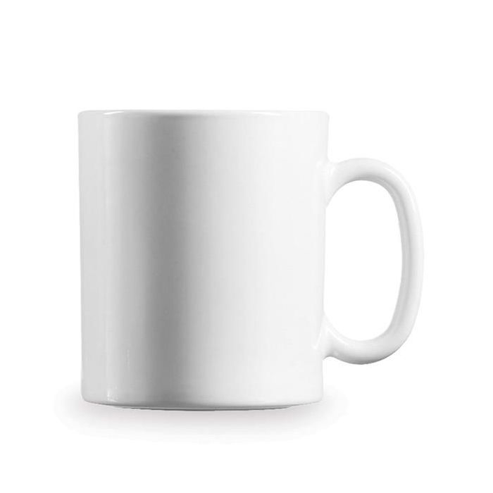 Evolution Mug [Set of 6]