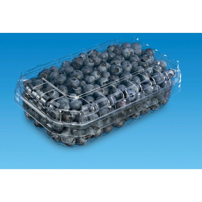 O. F-250 rPET fruit container 125g, 2300pcs, F-250/I-29