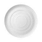 Paper plate TnG white 26 cm, weight 320g, price per 100 pieces