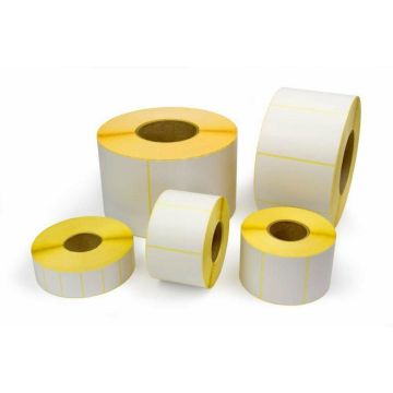 Label 58x57 (570 labels) TnK (k/50)