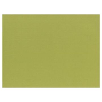 Podkładki na stół 30x40 100szt, oliwkowy