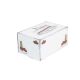 Box 16.5x11x8 white with printed Patina