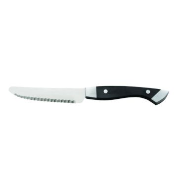 Steak knife 130 mm with serration, POM plastic handle