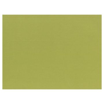 Table mats 30x40 100 pcs, olive