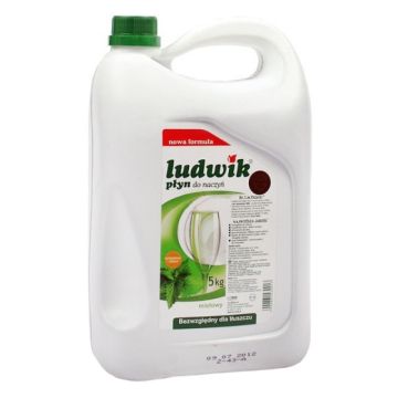 Dishwashing liquid LUDWIK mint 5l