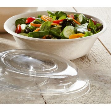 Sabert sugar cane bowl 750ml biodegradable, diameter 210xh.40mm, 75 pieces