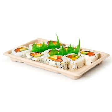 Sushi Box 2 trays of cane 16.5x11x1.5c, 50 pieces, natural, biodegradable (k/20)