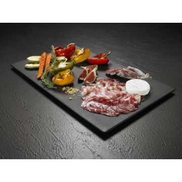 Rectangular tray 16x53x1,5cm GN2/4