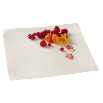 Sugar cane plate square white, 20x20x1.2cm, 10 pieces